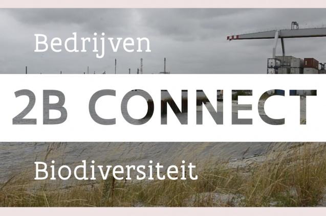 2B Connect uitgelegd in 5 minuten